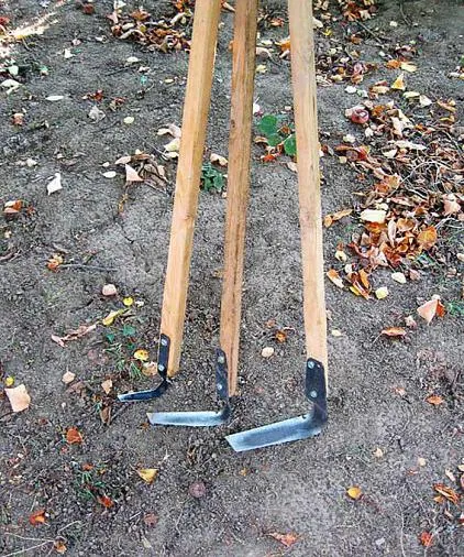 Ploskorez Fokina - cum să utilizați instrucțiunile corecte de aplicare