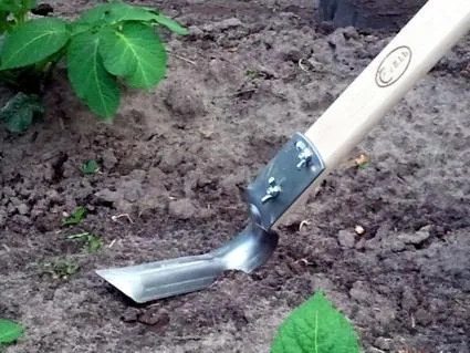 Ploskorez Fokina - cum să utilizați instrucțiunile corecte de aplicare
