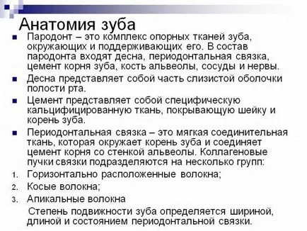 De ce pradă, pauza, dintii rupte care fac, restaurarea dintelui distrus