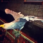 Articole din sticle de plastic pentru gradina (descriere foto)