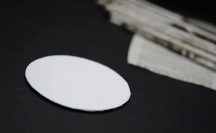 Artizanat pentru începători din tubii ziar pași cu fotografii