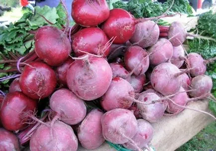 Fertilizarea in aer liber de sfeclă remedii populare (deschis) Fertilizarea sfecla în teren deschis de atac folk