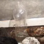 Bautor de pui cu mâinile lor de instrucțiuni de un producător sticla de plastic de
