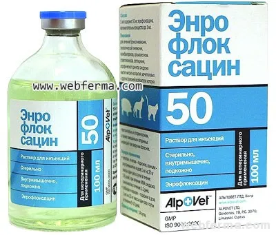 Diareea la găini ouătoare ca un tratament, sfaturi de prevenire (soluții apoase de vitamine) Diareea la găinile ouătoare ca tratament, consilii de prevenire