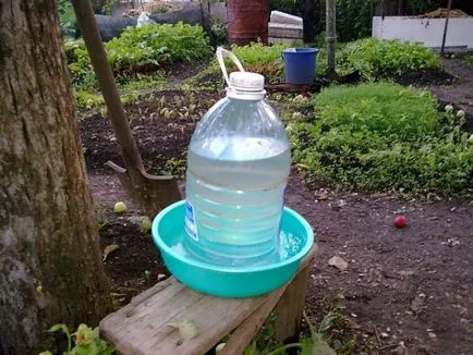 Bautor de pui cu mâinile lor de instrucțiuni de un producător sticla de plastic de