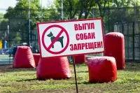 Conținutul și de câine de mers pe jos