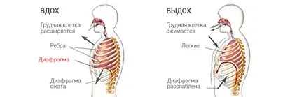 respirație corectă în timpul exercițiului