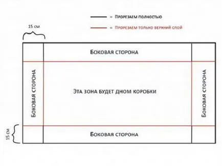 Instrucțiuni pas cu pas pentru producerea de celule de cobai cu propriile sale mâini