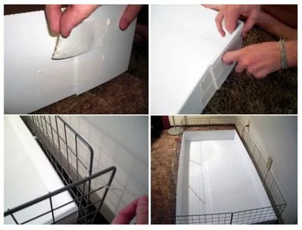 Instrucțiuni pas cu pas pentru producerea de celule de cobai cu propriile sale mâini