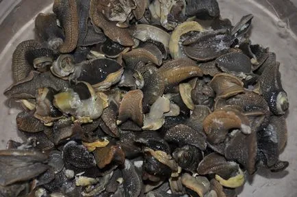 Prepararea melci la domiciliu - cum să se pregătească melci reteta gustoasa cu fotografie (melci) Prepararea melci la domiciliu - modul de preparare a melcilor reteta delicioasa cu o fotografie