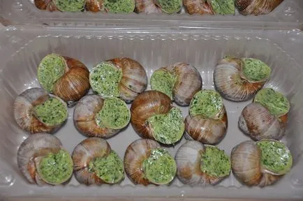 Prepararea melci la domiciliu - cum să se pregătească melci reteta gustoasa cu fotografie (melci) Prepararea melci la domiciliu - modul de preparare a melcilor reteta delicioasa cu o fotografie