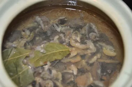 Prepararea melci la domiciliu - cum să se pregătească melci reteta gustoasa cu fotografie (delicios) Prepararea melci la domiciliu - modul de preparare a melcilor reteta delicioasa cu o fotografie