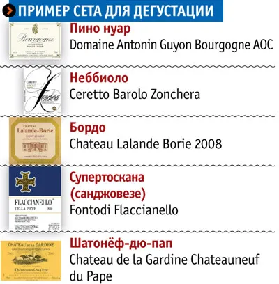 Ghid pentru lumea vinului, datorită căreia vă învăța în cele din urmă modul de a alege un vin bun (regiunile viticole ale lumii) Ghid pentru lumea vinului, datorită căreia ai învățat în cele din urmă modul de a alege un vin bun