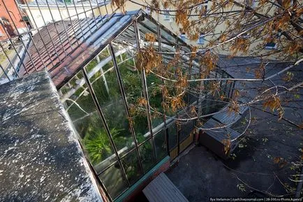 Mersul pe jos de-a lungul zidului Kremlinului, știri foto