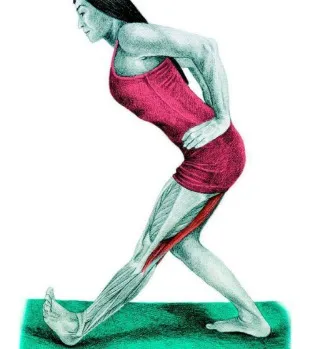 Întinzându 10 picioare exerciții eficiente pentru întindere