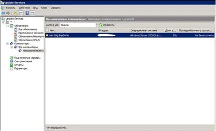 Implementarea și utilizarea serverului WSUS