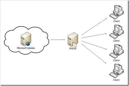 actualizare server de implementare care rulează WSUS locale, smearg