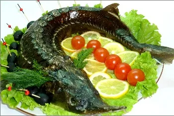 Rețete Sturgeon, coapte în cuptor