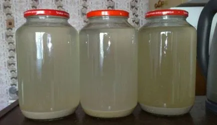 Reteta de vodca din zahăr și drojdie