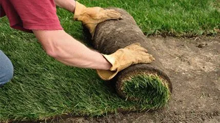 Turf - Comentarii