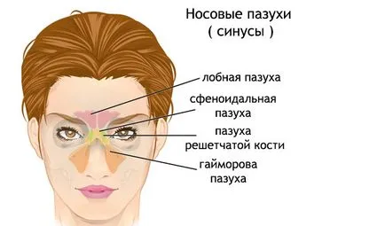 Simptomele rinosinuzita și tratamentul acute, cronice, polypoid (tratament) Simptomele rinosinuzita și tratamentul acute, cronice, polypoid