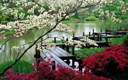 poduri Garden în proiectarea fotografie peisaj