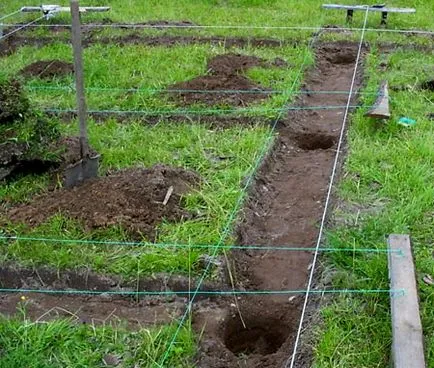 Grillage ce este, instrucțiuni de instalare pluta fundație cu propriile sale mâini
