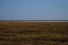 Tundra - un