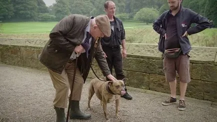 Cel mai singur caine din lume și 6 animale cunoscuții actori (lumea) Câinele cel mai singuratic din lume și are 6 bine cunoscute animale actori-