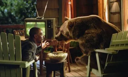Cel mai singur caine din lume și 6 animale cunoscuții actori (chinologie singur) Câinele cel mai singuratic din lume și are 6 bine cunoscute animale actori-