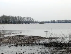 cu o rețea de jgheab