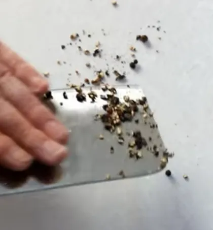 Frigarui de rețete de pui 5 marinade cele mai gustoase la carne a fost moale (pui) Frigarui de rețete de pui 5 marinade cele mai gustoase la carne a fost moale