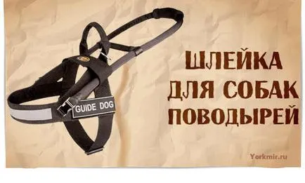 Harnasament pentru câini, selecție, tipuri, shleek materiale
