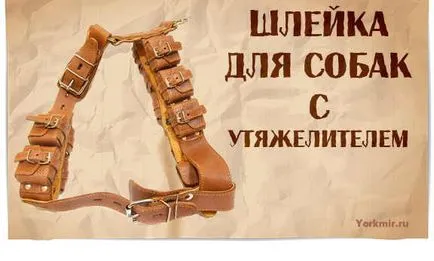 Harnasament pentru câini, selecție, tipuri, shleek materiale