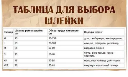 Harnasament pentru câini, selecție, tipuri, shleek materiale