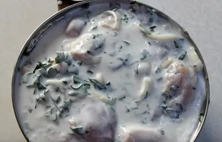 Frigarui de rețete de pui 5 marinate cele mai gustoase la carne a fost moale (shish kebab) Frigarui de rețete de pui 5 marinade cele mai gustoase la carne a fost moale
