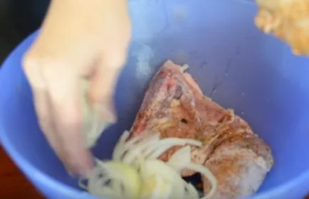 Frigarui de rețete de pui 5 marinate cele mai gustoase la carne a fost moale (shish kebab) Frigarui de rețete de pui 5 marinade cele mai gustoase la carne a fost moale