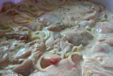 Frigarui de pui 7 marinați cele mai delicioase pentru pui, carnea era moale