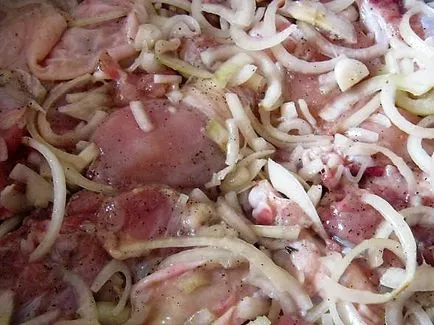Frigarui de rețete de pui 5 marinade cele mai delicioase carne a fost moale (rețete) Frigarui de rețete de pui 5 marinade cele mai gustoase la carne a fost moale