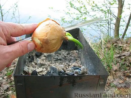 Frigarui de miel 8 cele mai bune rețete (miel) Frigarui de miel 8 cele mai bune rețete