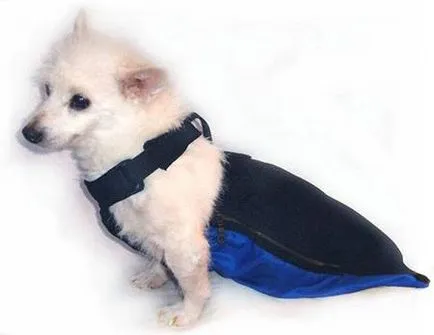 Harnasament pentru câini cu propriile mâini - dogcollar - muniție și accesorii pentru câini