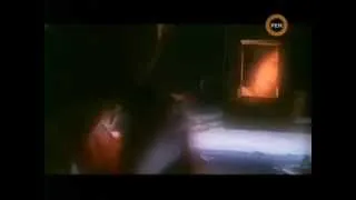 Pițigoi a zburat în fereastra, semnul casei (caseta) Pițigoi a zburat în fereastra, semnul casei