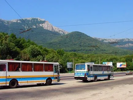 Simferopol Yalta cum să obțineți de la aeroport pentru a afla prețurile cu noi! (Reach) Simferopol Yalta cum să obțineți de la aeroport pentru a afla prețurile cu noi!