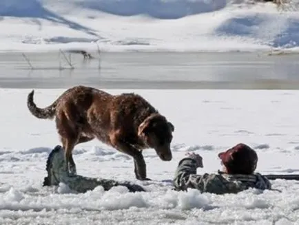 Dog-eroi și povești sentimentale de dăruire, umkra