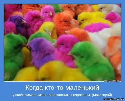 Sensul vieții