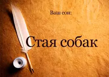 Ambalaj de vis Interpretare (ambalaj) câini într-un vis pentru a vedea o femeie care este atacat