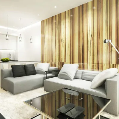 Apartament renovat exemple fotografie interior modern (fotografii) Apartament renovat exemple fotografie interior modern