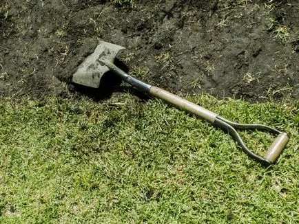 Vechea grădină pentru a păstra și de a revitaliza sau de a stabili un nou (vechi) gradina veche de a conserva și a revitaliza sau de a stabili noi