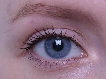 Comparăm șapte tipuri diferite de Maybelline rimel, din interior frumusete