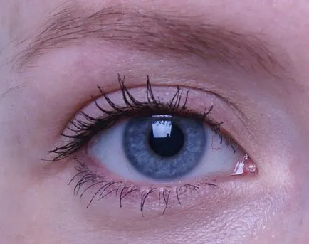 Comparăm șapte tipuri diferite de Maybelline rimel, din interior frumusete